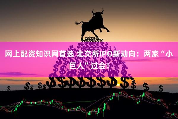 网上配资知识网首选 北交所IPO新动向：两家“小巨人”过会！